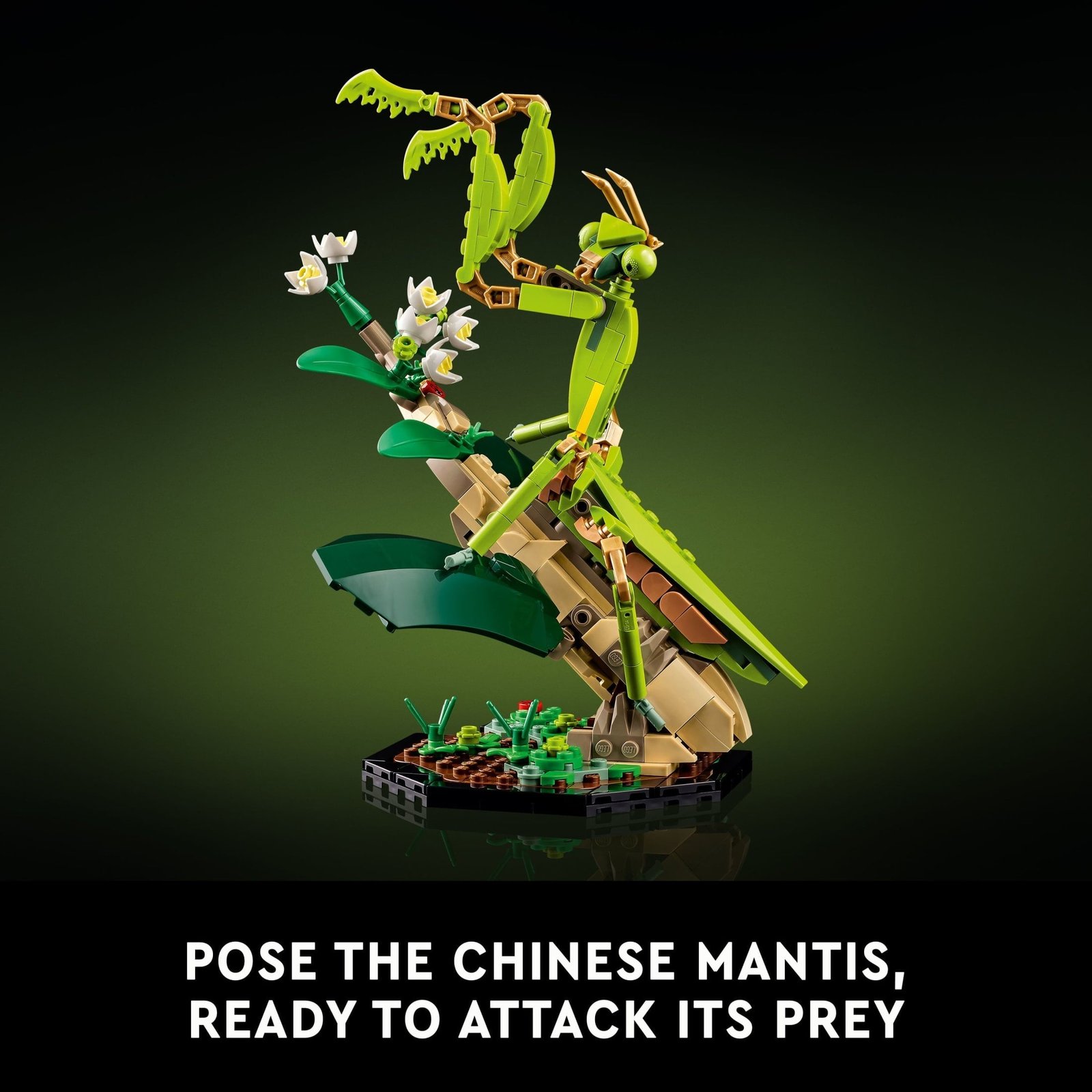 LEGO Ideas The Insect Collection Building Set for Adults - Gift for Christmas - Collectible Display Set for Nature Lovers - Models of Insects for Office or Book Shelf Decor - 21342